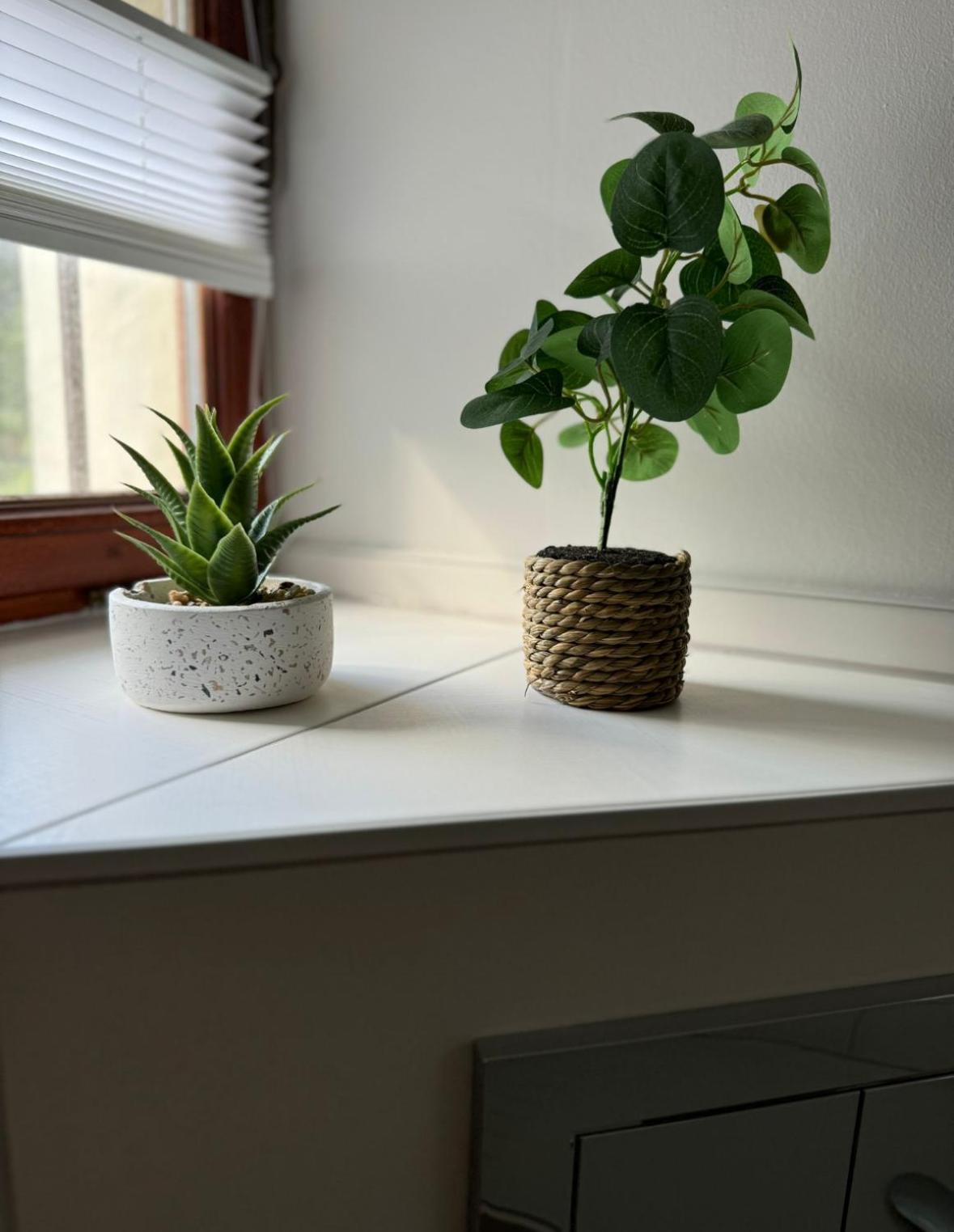 Ferienwohnung Neue Quickbox Thale Extérieur photo
