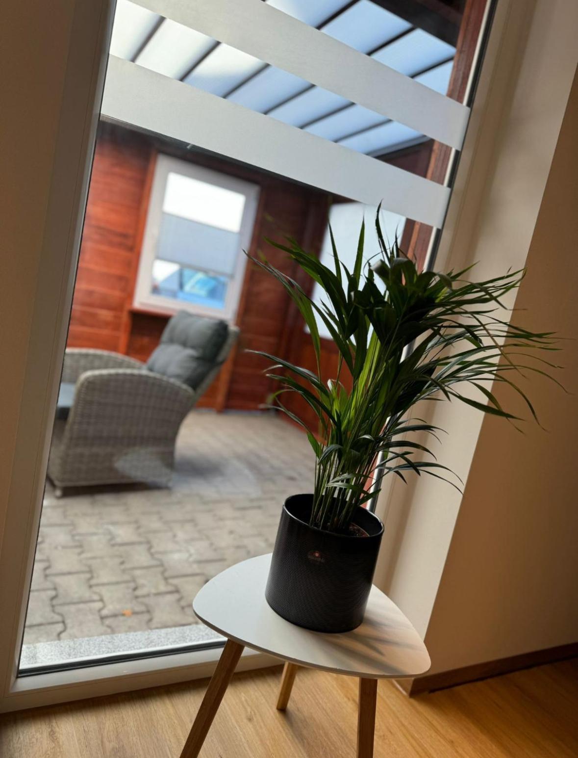 Ferienwohnung Neue Quickbox Thale Extérieur photo